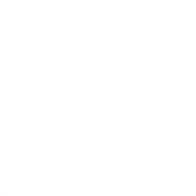 SEO services in Dubai